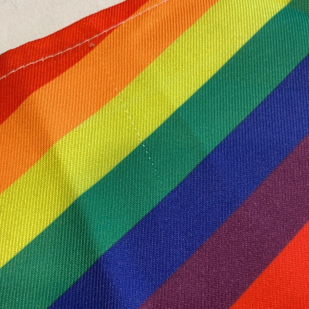 🎀 5/$20 🎀 Hotel Doggy XS/S Rainbow Pride Dog Pet Bandana